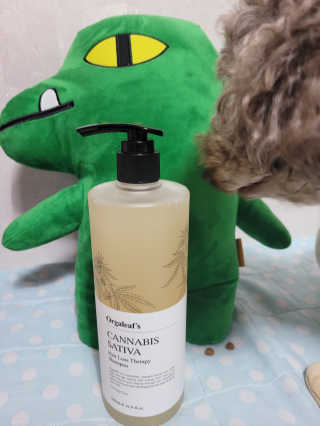 이예림님이 올린 리뷰 사진 3