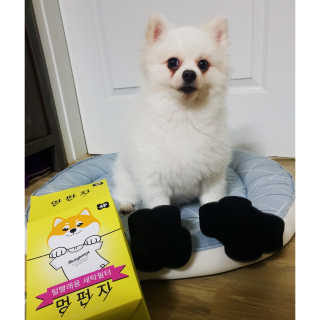 심쿵해에님이 올린 리뷰 사진 2