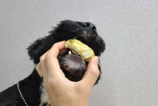 유짱님이 올린 리뷰 사진 2