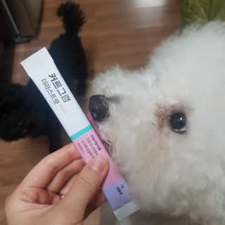 ❤꼬네우니🧡님이 올린 리뷰 사진 2