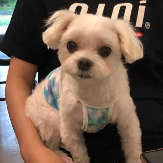 댕민님이 올린 리뷰 사진 3