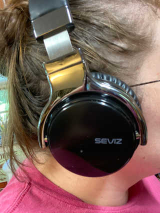 SEVIZ Bluetooth Headphones 10 3color — 5점을 준 리뷰어가 2020년 8월 올린 사용 사진