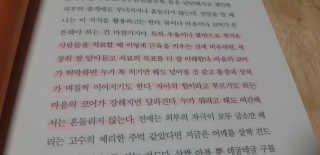 새돌댕댕님이 올린 리뷰 사진 4