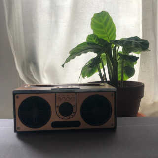 SEVIZ RETRO20W 레트로 블루투스 스피커 — 5점을 준 리뷰어가 2020년 7월 올린 사용 사진