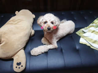 란아님이 올린 리뷰 사진 1