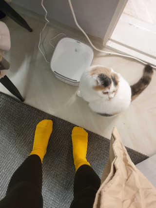 망나니집사님이 올린 리뷰 사진 1