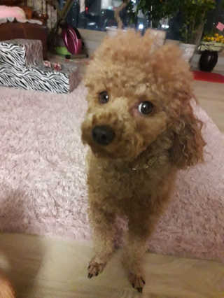 creed님이 올린 리뷰 사진 3