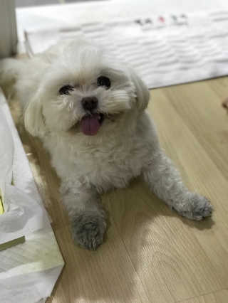 에그마요님이 올린 리뷰 사진 2