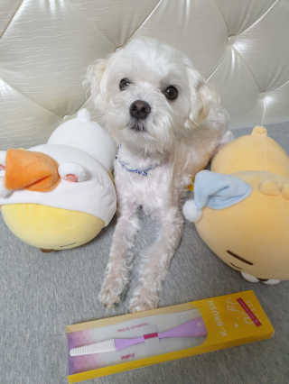 시우하늘맘님이 올린 리뷰 사진 2