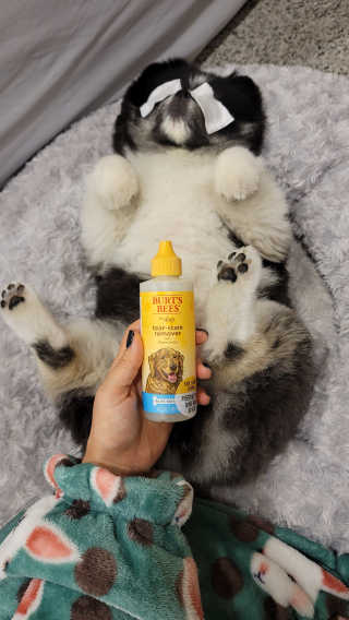몽실맘님이 올린 리뷰 사진 1