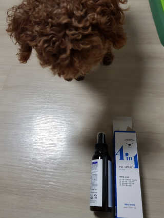 준맘님이 올린 리뷰 사진 3