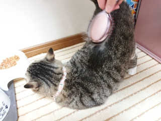 野田千翔님이 올린 리뷰 사진 2