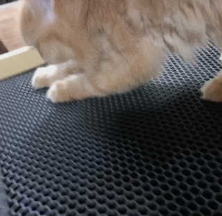 나르미르님이 올린 리뷰 사진 1