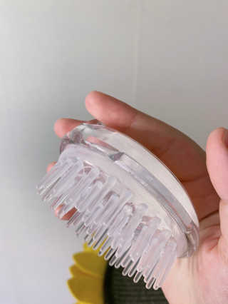 에이처드 유산균 탈모 샴푸 500ml — 5점을 준 리뷰어가 2020년 9월 올린 사용 사진