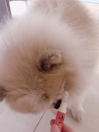 밍크마마님이 올린 리뷰 사진 3