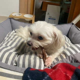 김주은님이 올린 리뷰 사진 4