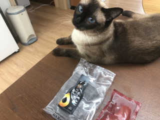 Criss님이 올린 리뷰 사진 2