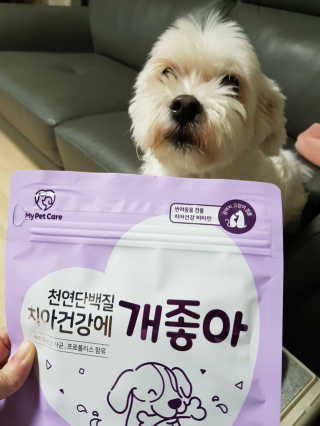 My Pet Care 천연단백질 치아건강에 개좋아 — 5점을 준 리뷰어가 2020년 11월 올린 사용 사진