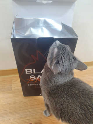 핑키냥이님이 올린 리뷰 사진 1