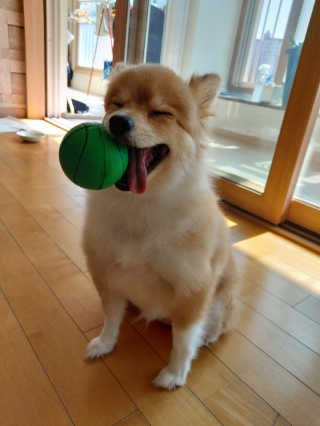 설탕님이 올린 리뷰 사진 2