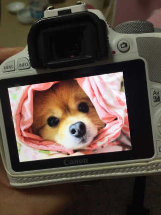 연떠님이 올린 리뷰 사진 1