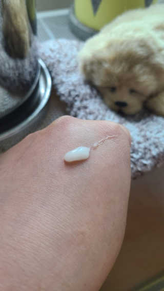 sunny님이 올린 리뷰 사진 3