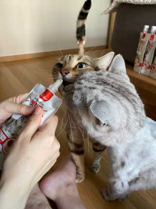 뚜디니님이 올린 리뷰 사진 2