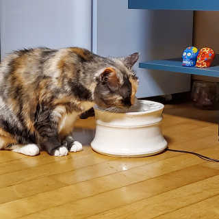 망구님이 올린 리뷰 사진 4