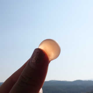 니몸내몸 영양젤리 3종 중 택1 — 5점을 준 리뷰어가 2020년 11월 올린 사용 사진