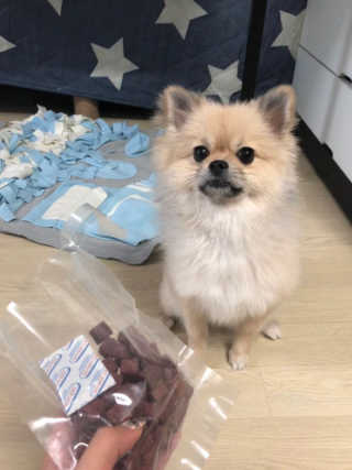 My Pet Care 천연단백질 눈건강에 개좋아 — 5점을 준 리뷰어가 2020년 11월 올린 사용 사진