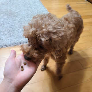 유나님이 올린 리뷰 사진 2