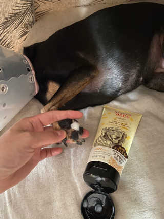 버츠비 케어플러스 릴리빙포앤노즈로션 — 4점을 준 리뷰어가 2020년 10월 올린 사용 사진