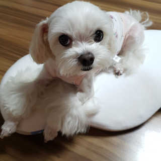 youngran님이 올린 리뷰 사진 1
