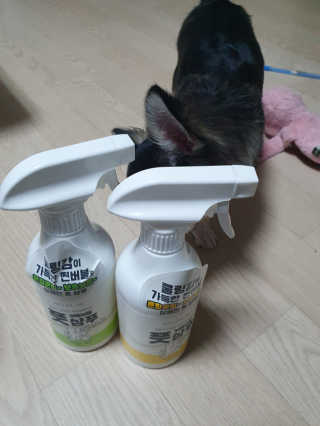 빈이율빠님이 올린 리뷰 사진 2