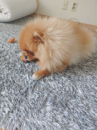 max님이 올린 리뷰 사진 3
