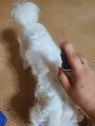 공팔리터님이 올린 리뷰 사진 1
