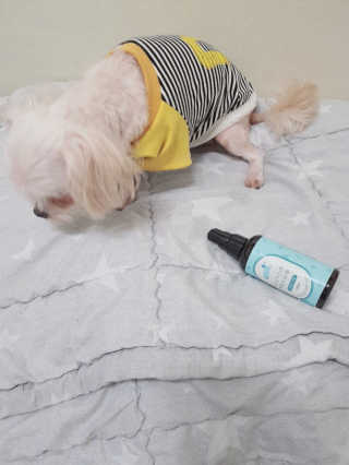 sera님이 올린 리뷰 사진 3