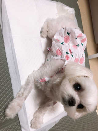 뚜덩맘님이 올린 리뷰 사진 1