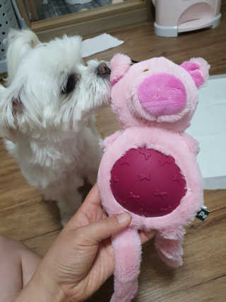 뽀오오옹님이 올린 리뷰 사진 1