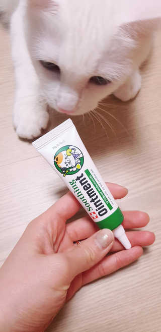 대박이님이 올린 리뷰 사진 3