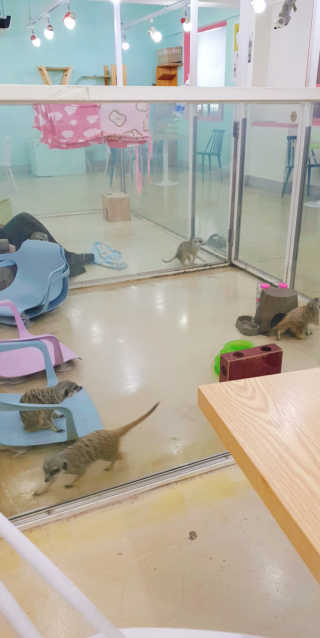 주혀니님이 올린 리뷰 사진 4