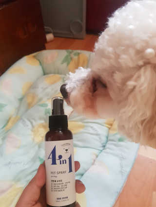 크림푸님이 올린 리뷰 사진 3