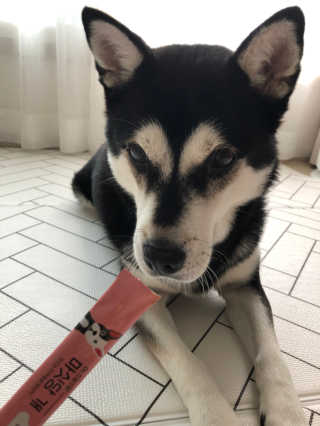 제이님이 올린 리뷰 사진 2
