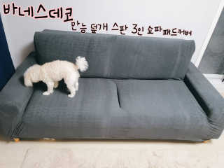 주여니이님이 올린 리뷰 사진 2