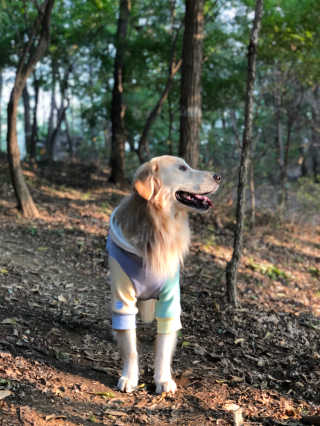 봉디님이 올린 리뷰 사진 2