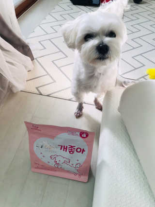 My Pet Care 천연단백질 관절건강에 개좋아 — 5점을 준 리뷰어가 2020년 11월 올린 사용 사진