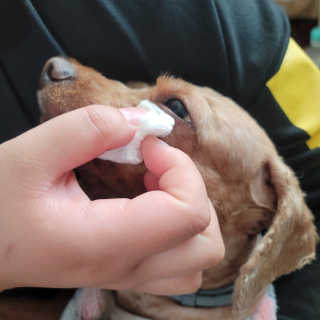 DK님이 올린 리뷰 사진 3
