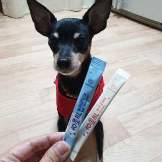 임토리님이 올린 리뷰 사진 4