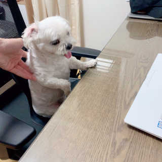 jin님이 올린 리뷰 사진 2