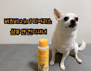버츠비 퍼피투인원 티어리스 샴푸 앤 컨디셔너 — 5점을 준 리뷰어가 2020년 11월 올린 사용 사진